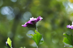 PICT0126
