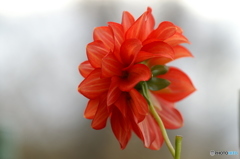 PICT0056