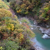 吸いこまれそう･･･。