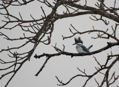 遠いなぁ｡｡｡