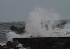 冬の日本海♫