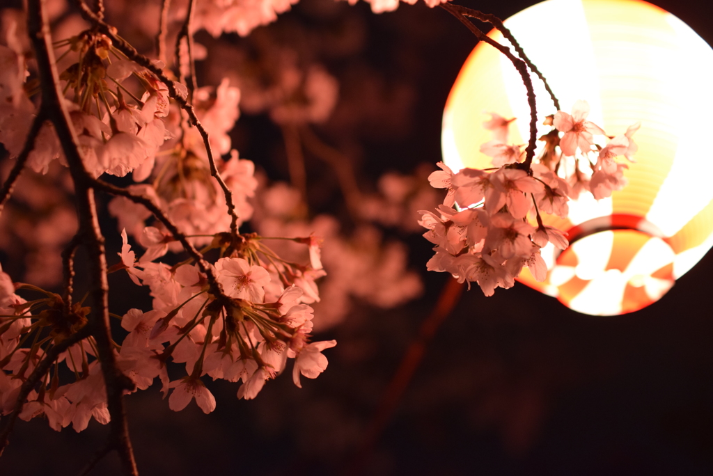 花魁