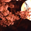 花魁