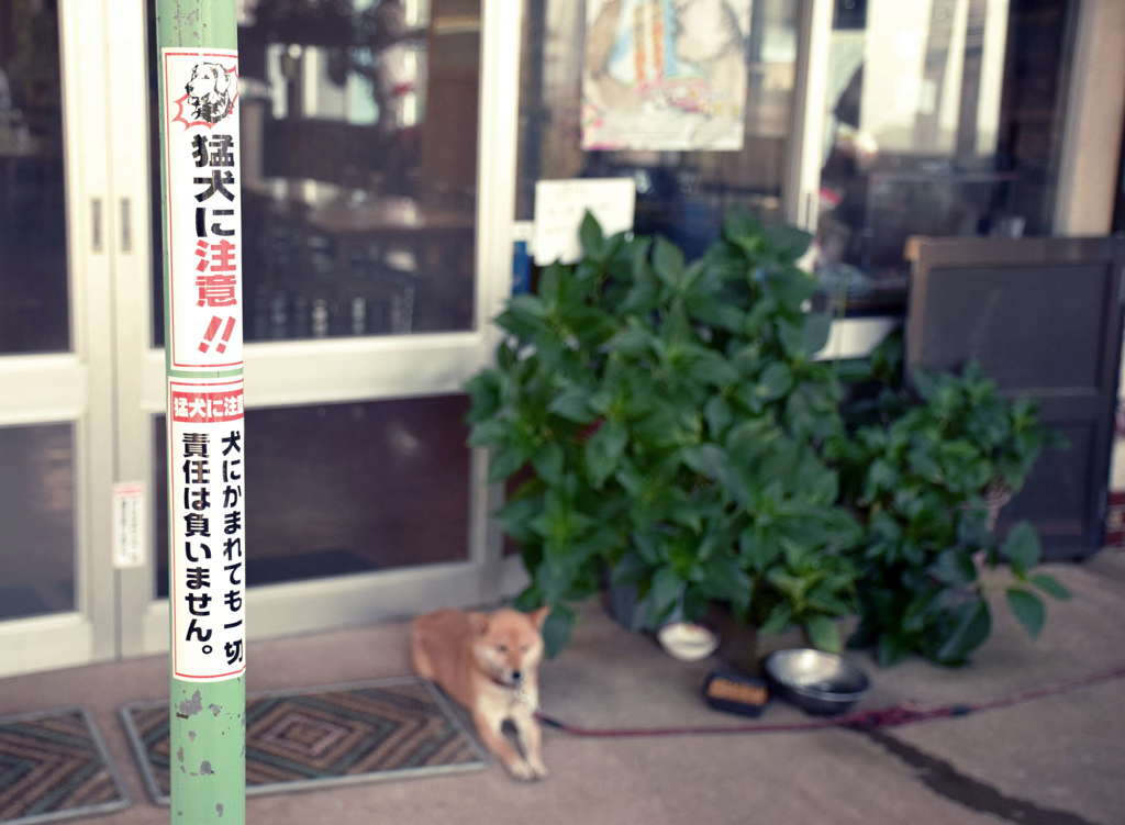 「猛犬」