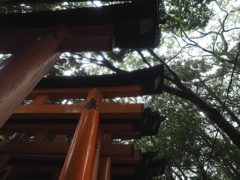 雨の稲荷大社