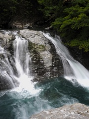 山奥の清流