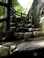 山奥の清流２