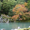 始まる紅