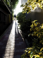 休日の散歩