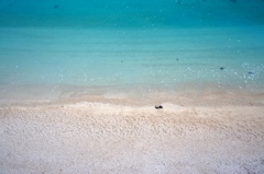 青い海