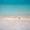 青い海