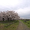春の河川敷
