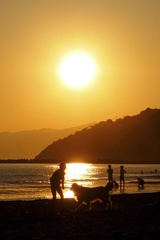夏の休日