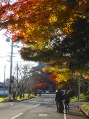 お散歩