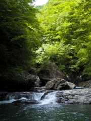 山奥の清流５