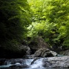山奥の清流５