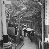 雨の中の参拝者