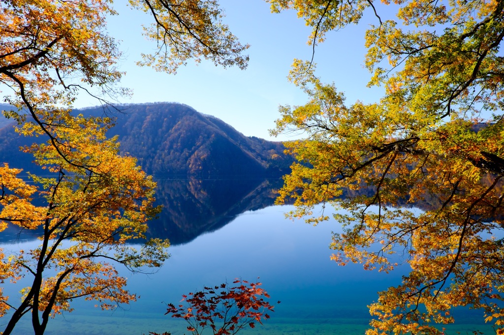 沼沢湖の秋