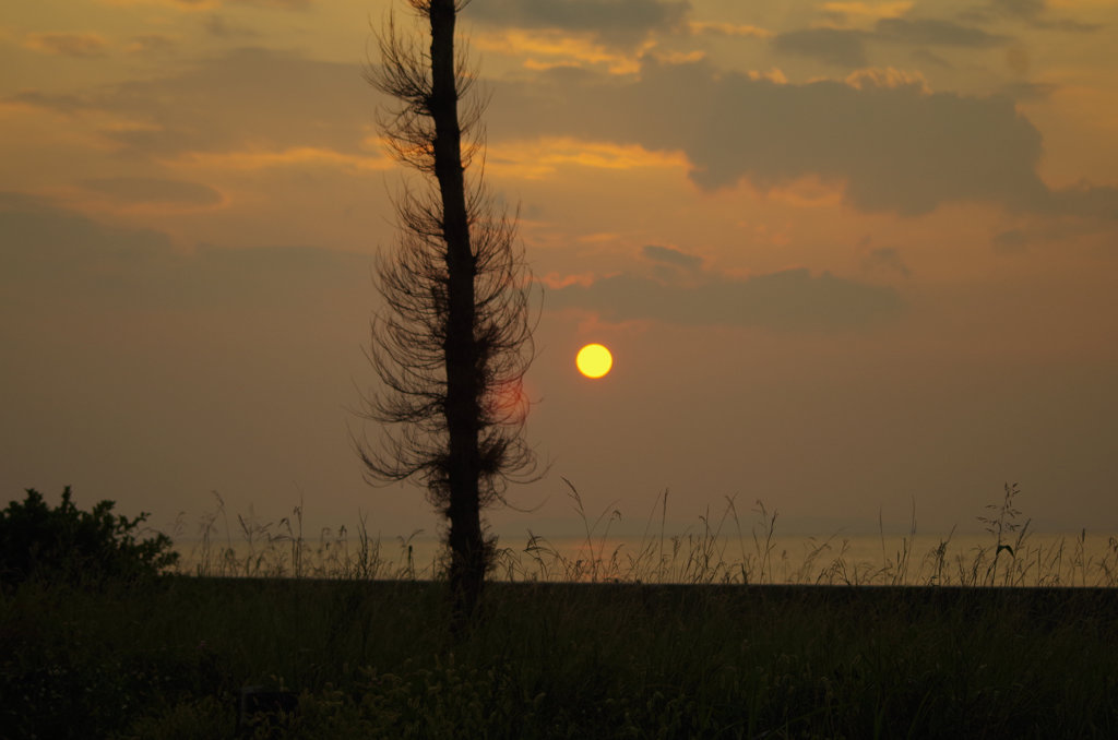 防波堤の夕日