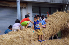 大綱引き　大綱