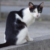 猫背だけど、なにか(^O^)