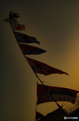 夕暮れの大漁旗