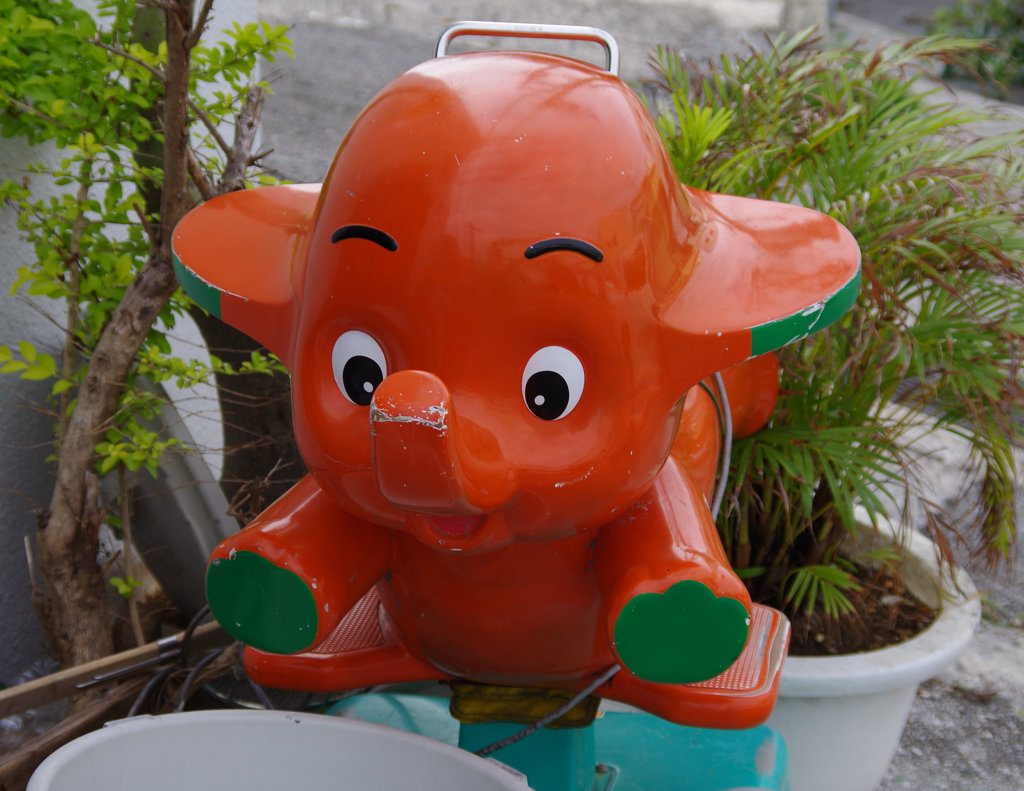 最近見かけなくなったなぁ～