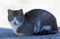 お前、耳どうした(^O^)