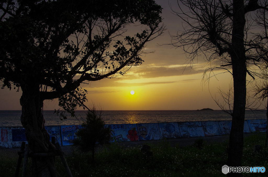 防波堤の夕日