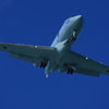 青い空に青い飛行機