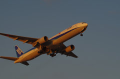 機体を夕日に染めて