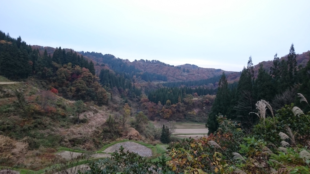 静かな山あい