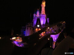 Propose
