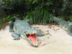 ワニ