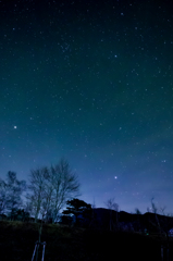 星の降る場所