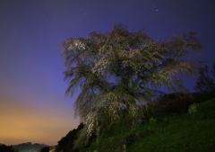 夜明け前にて