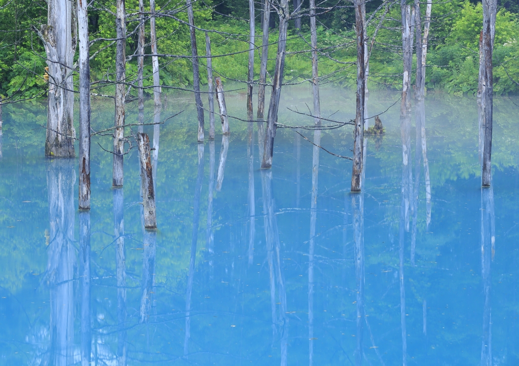 浅霧の青い池
