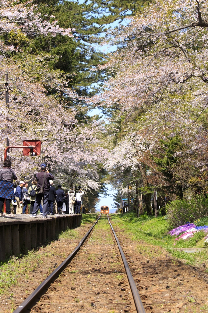 初めまして。津軽鉄道