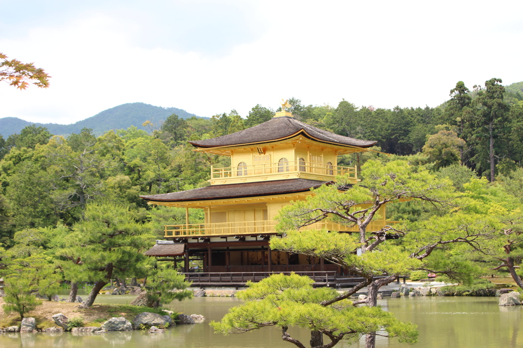 みんな大好き金閣寺