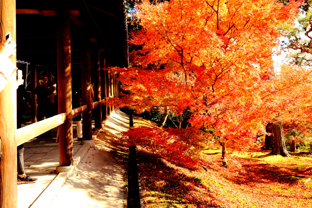 東福寺