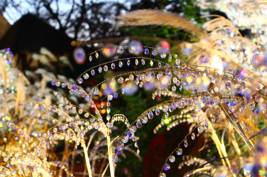 kirakira
