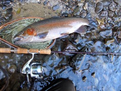 犀川のレインボー