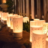 憧憬の路2014   03