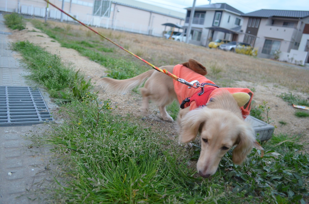 何か無いかなぁ…