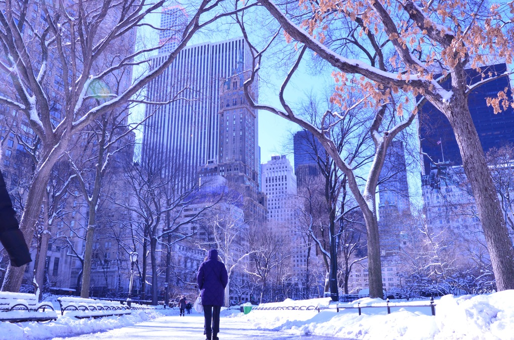 雪と都会inNew York