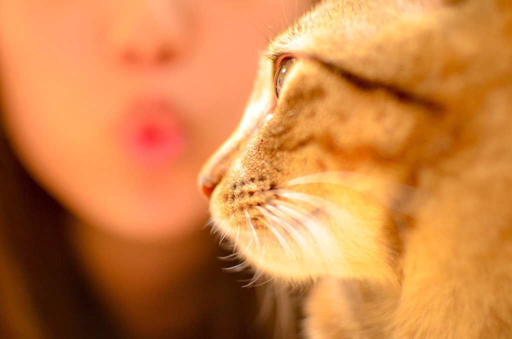 キスしたい！