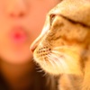 キスしたい！