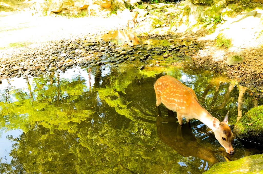 水分補給