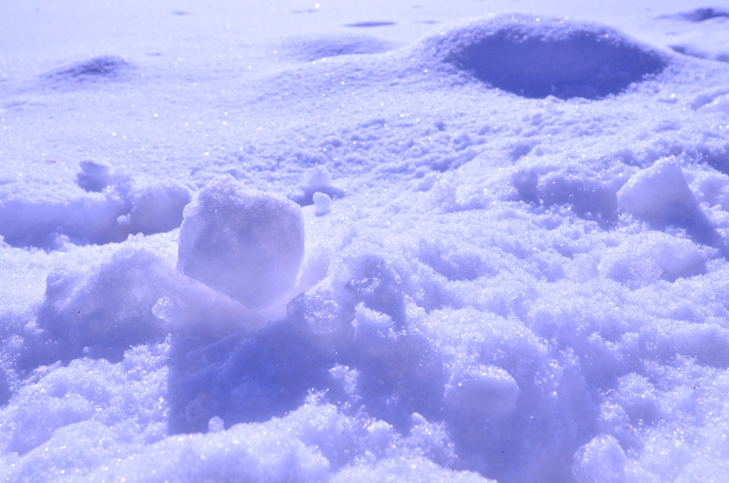 煌めく雪