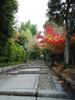 高台寺山門を歩く